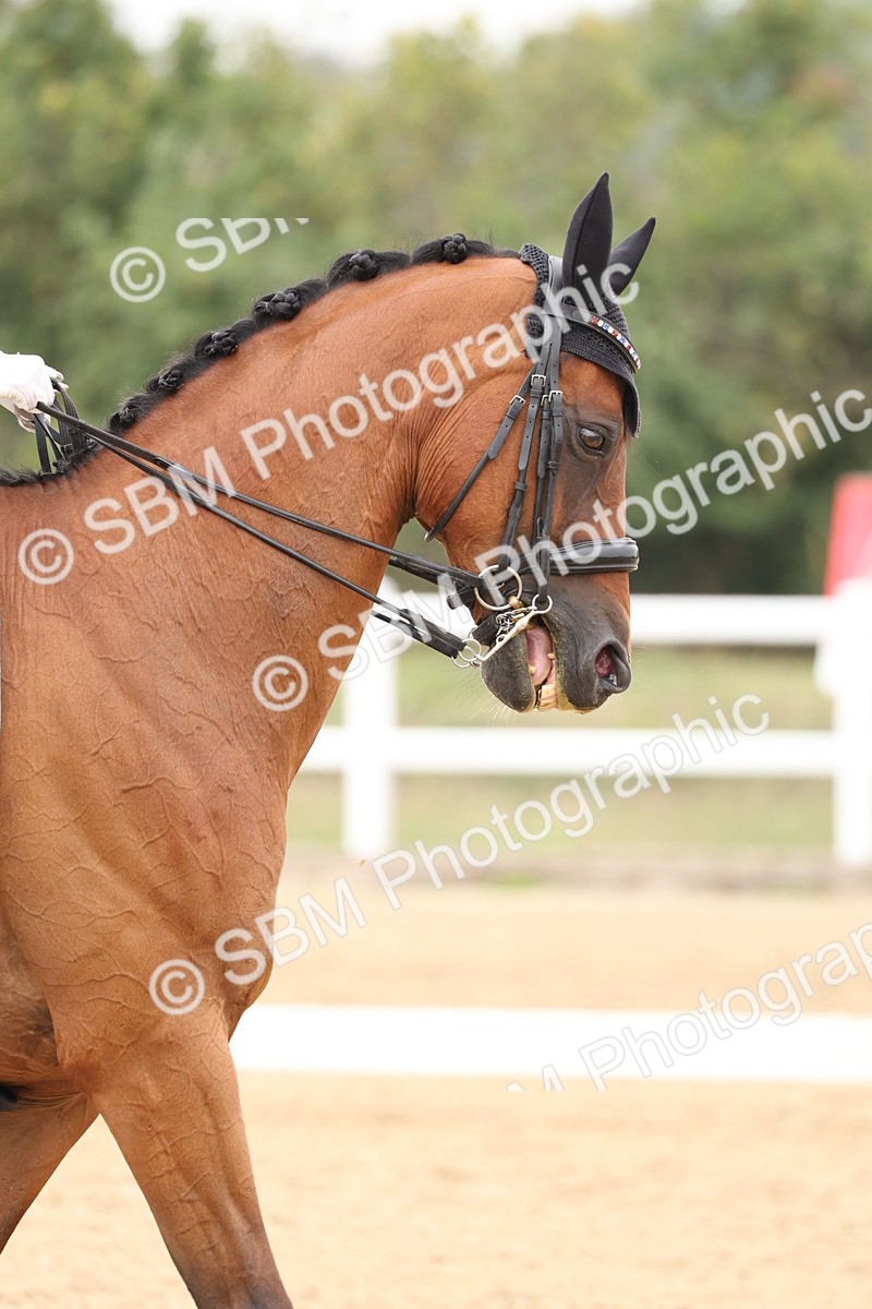 SBM_008052 - Class 10 - FEI INT I - 16.10-16.50