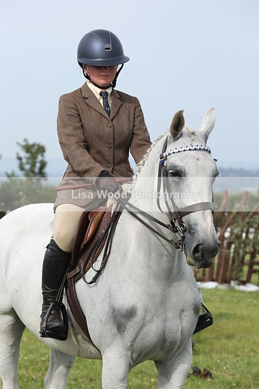 JPP_4327 - Class 25: Working Show Horse