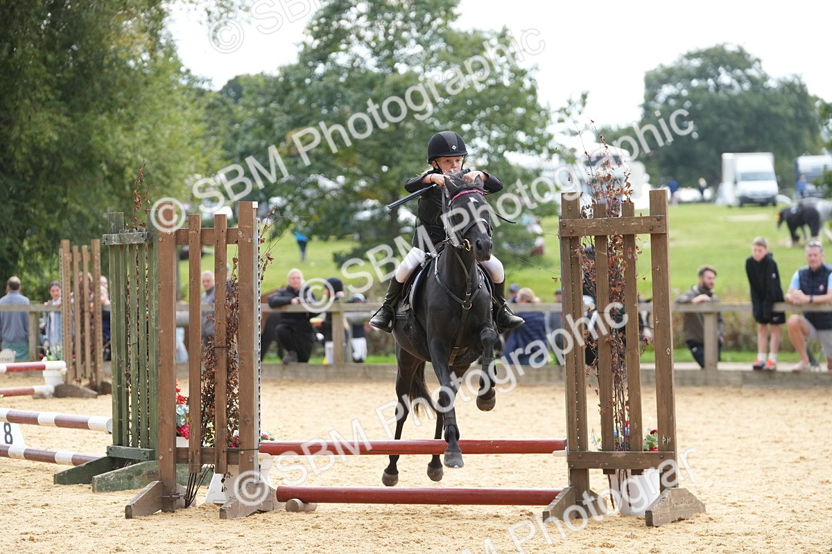 SBM_74720 - J4 - Mini Tour Junior Pony 45cm Championship