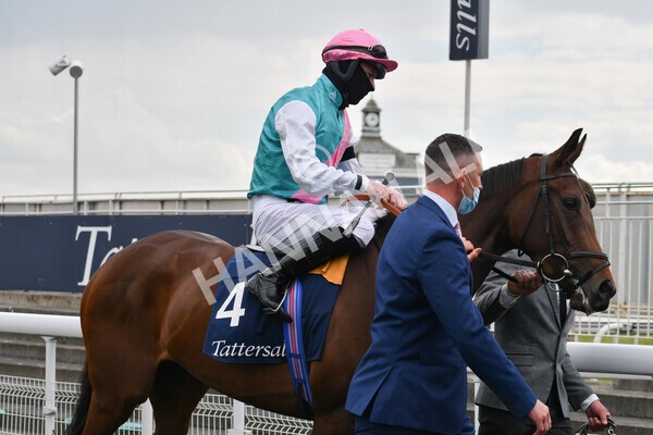 yr12052021r4-14 - Race 4 3.10pm Tattersalls Musidora Stakes