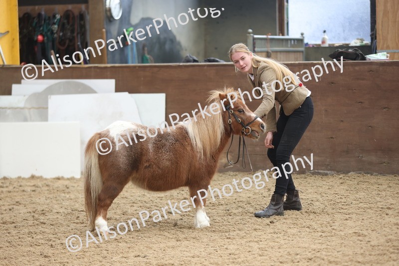 20251109-0370 - Class 14 - Geldings 4 Years and Over