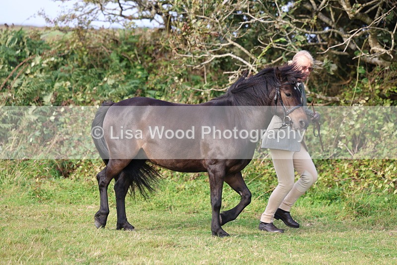 3E7A3173 - Class 12: M & M Small Breeds
