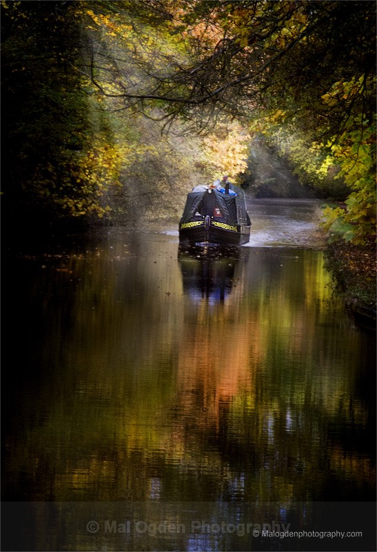 Autumn on the Cut - Worcestershire