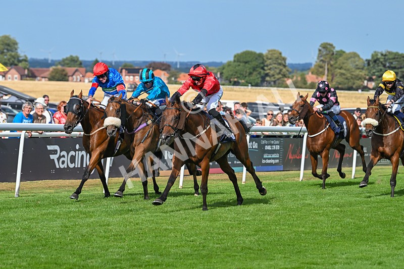 140825-Race 6-Sunny Orange-1814 - Race 6