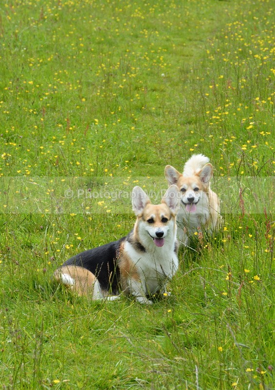  - Eric, Ulla, Maisie and Lola