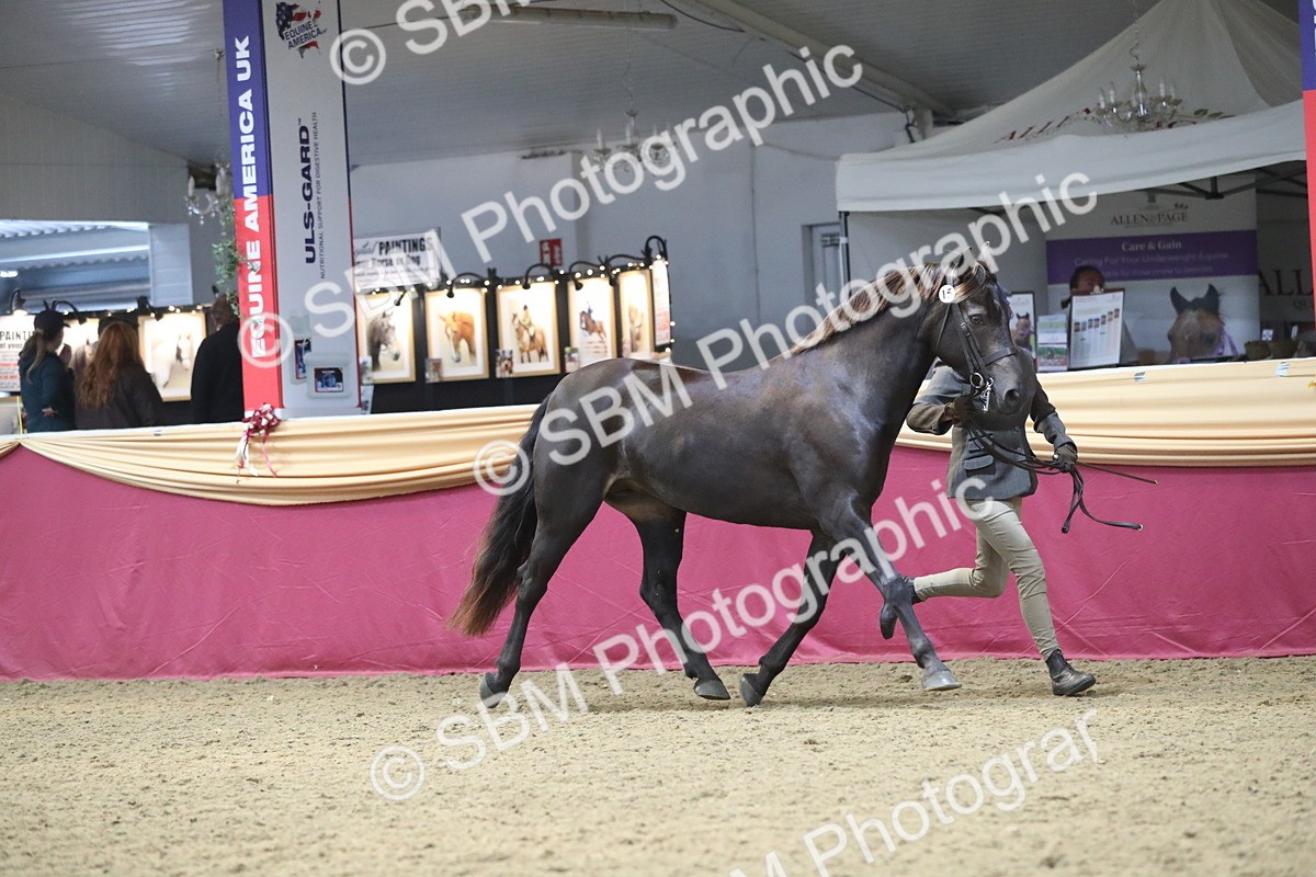 SBM_15154 - Class 501 M&M IH Supreme Final