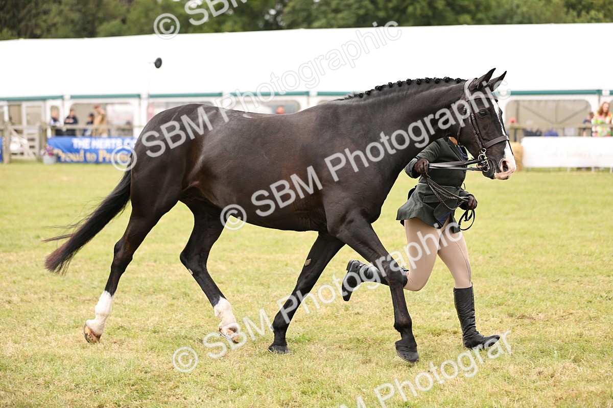 SBM_14613 - Class 88-89 - LIHS BSHA Rising Star of Ridden Hunter Type