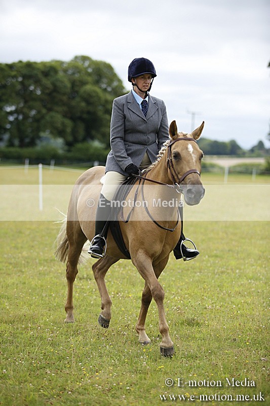 BVR160717-266 - Ring 1 BVRC Show 16/07/17