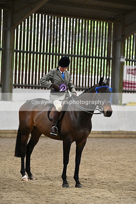 WJ7_4380 - Class 17 Ridden Cob