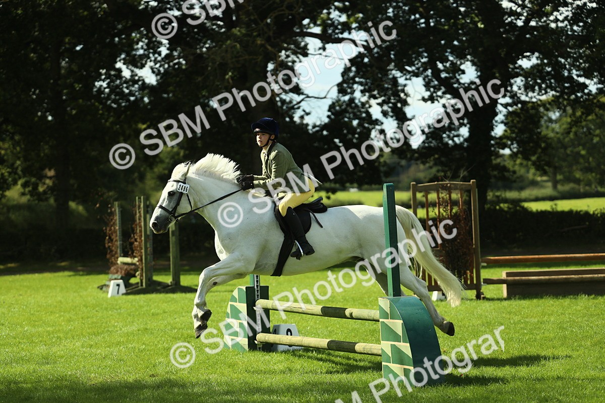 SBM_44549 - S30 - M&M Working hunter Pony