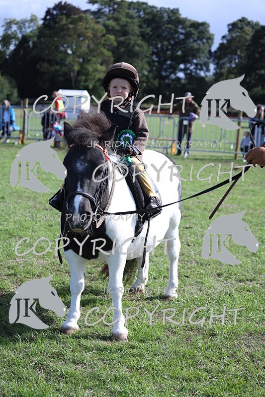 APP_3941 - Class 13 Lead rein