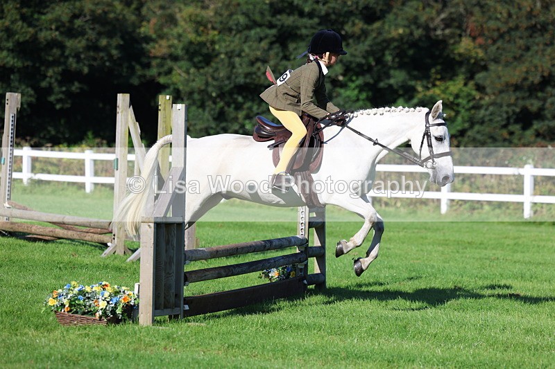 3E7A7511 - Class 1: Novice Working Hunter Pony
