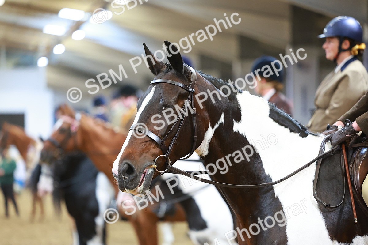 SBM_09678 - Class 102 - HOYS Veteran Qualifier - Ridden Veteran