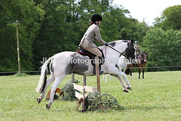 IMG_3251 - Working Hunter