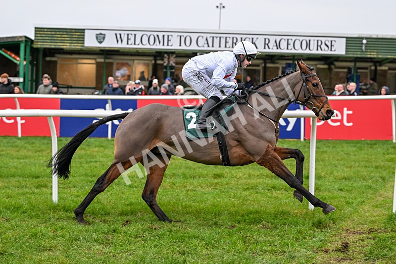 281225-Race 2-Kakas Cousin-0222 - Race 2