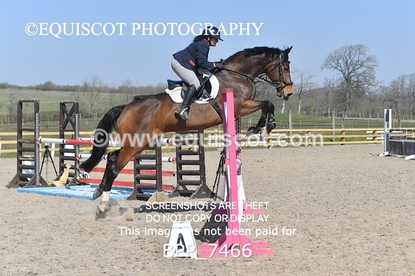 BPP_7466 - CLASS 5 Senior Newcomers/ 1.10m Open