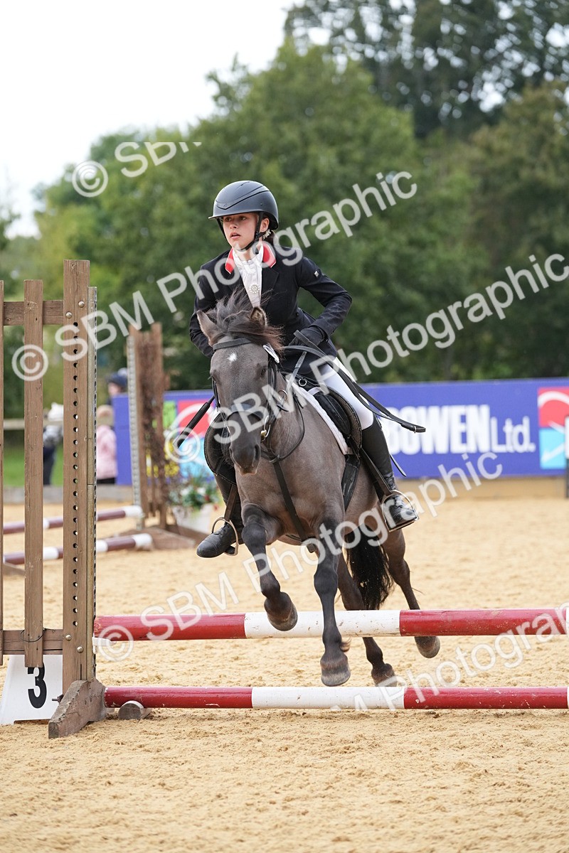 SBM_74875 - J4 - Mini Tour Junior Pony 45cm Championship