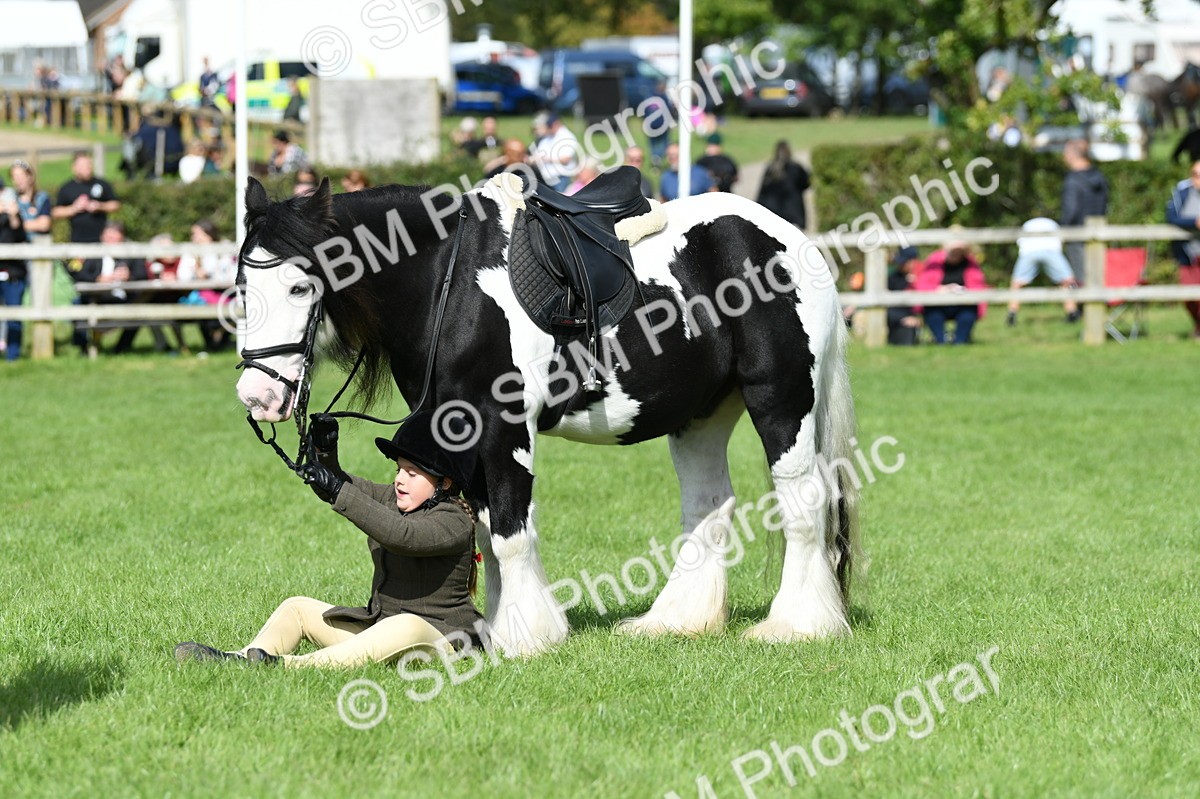SBM_46984 - S12 - Family Horse & Pony