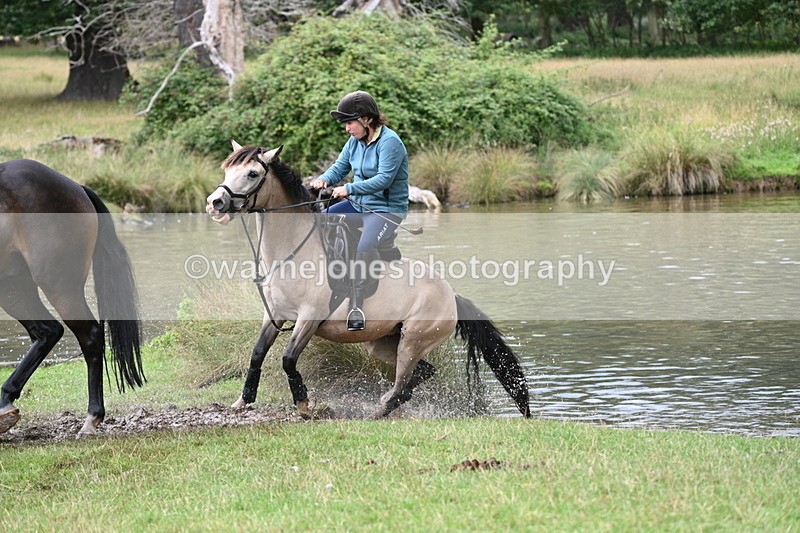 WJ7_4109 - Time at Water 12:52 to 13:22