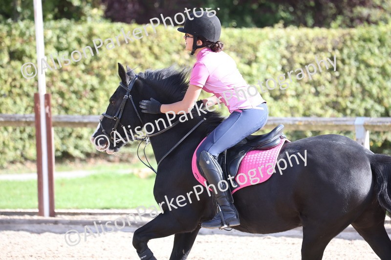 20251005-0316 - Class 3 - 60cm