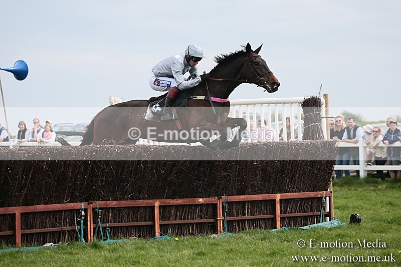 PtP 210418 214 - South & West Wilts Point-to-Point Larkhill 21/04/18
