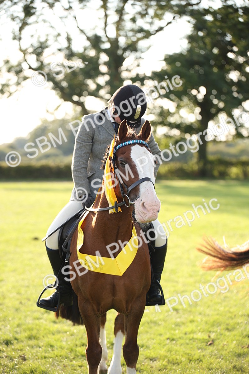 SBM_54361 - S27 - Mature Veteran - Ridden