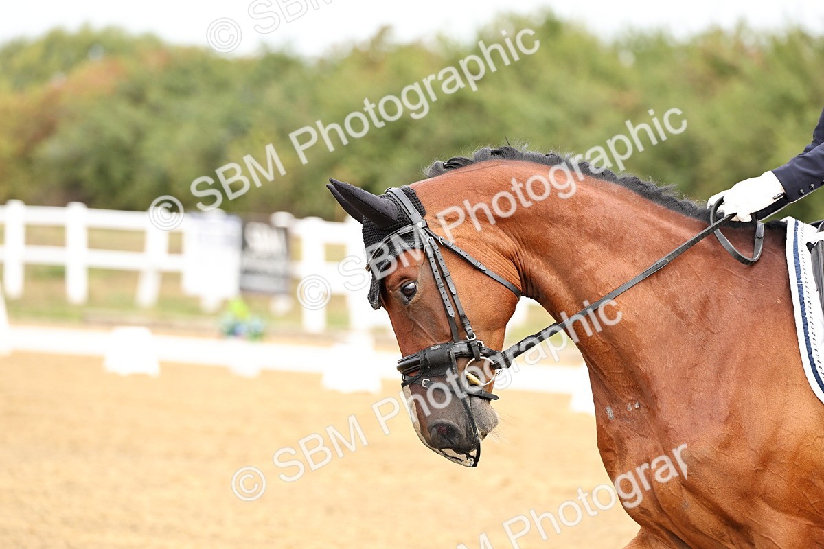 SBM_012156 - Class 2 - Prelim 5