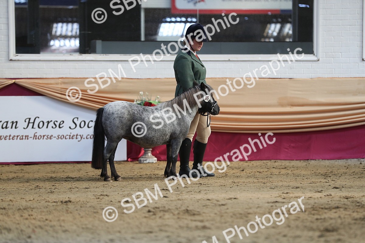 SBM_01284 - Class 3a Area IH Pre Vet