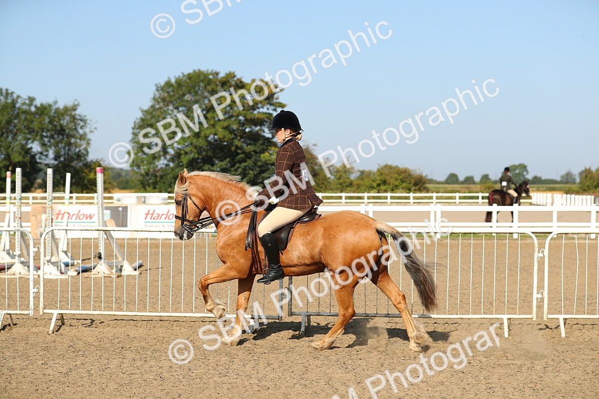 SBM_01200 - Class 42 Ridden Veteran
