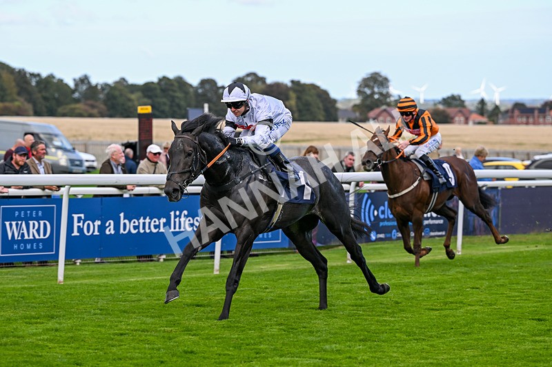 230925-Race 2-Ironwill-0134 - Race 2