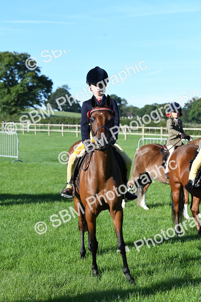 SBM_34123 - S16 - Condition & Turnout - Ridden