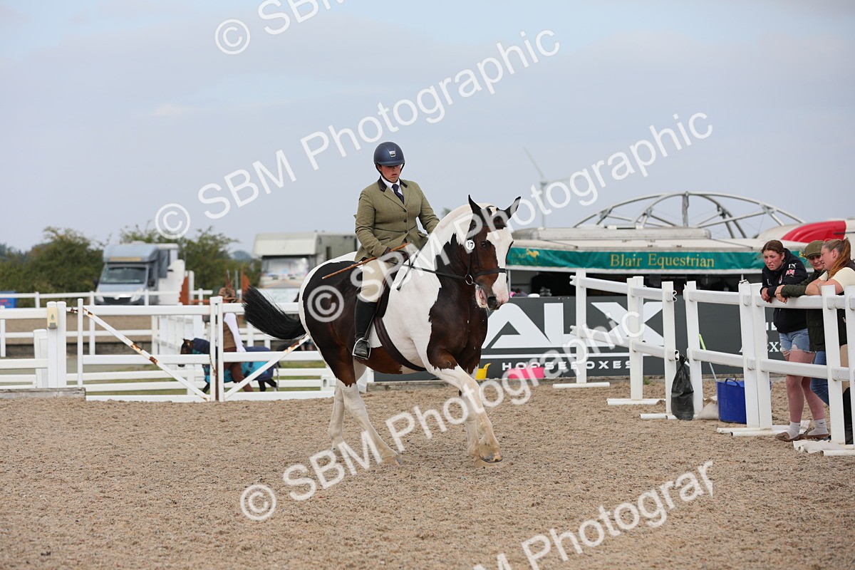 SBM_16951 - Class 314 Family Horse/Pony