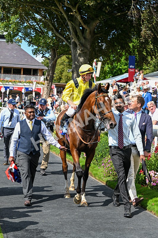 220826-Race 2-Infraad-9834 - Race 2 14.25pm Sky Bet Melrose Handicap