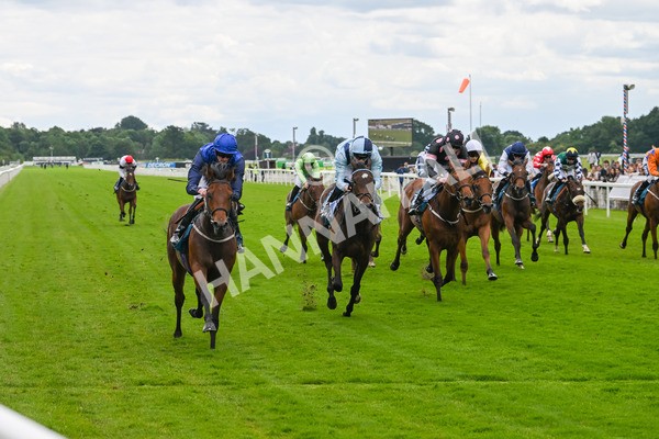 140624-Race 2-Inconspicuous-3973 - Race 2 2.25pm CGE Yorkshire Rous Selling Stakes