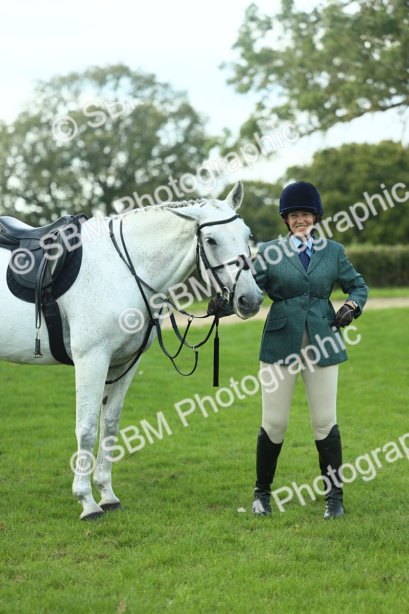 SBM_50728 - S33 - Working Hunter & Working Show Horse