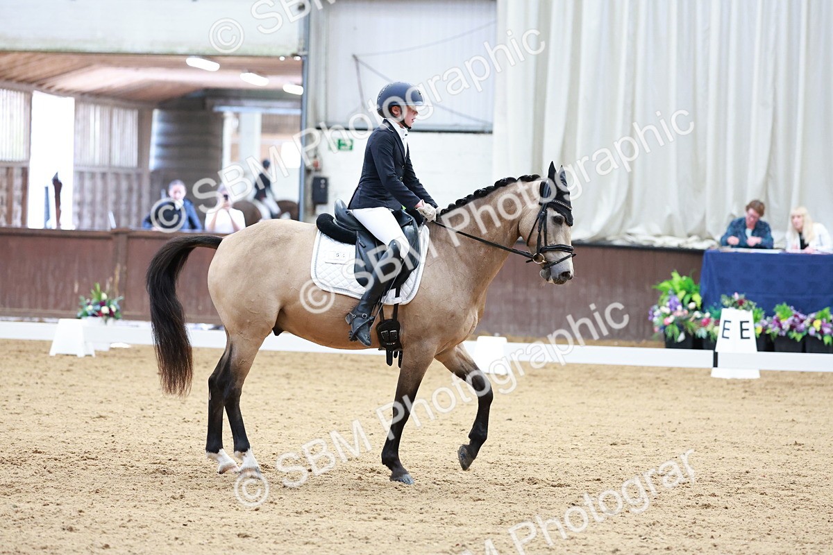 SBM_017210 - Class15 - FEI Pony