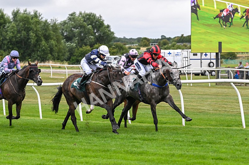 180825-Race 1-Stellarmasterpiece-8153 - Race 1