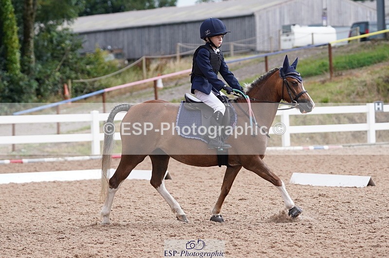 240809A-100614-00429 - Dressage Competition