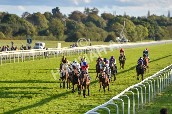 141023-Race 7-Star Ahoy-1642 - Race 7 4.45pm Coral 'Committed To Safer Gambling' Finale Handicap
