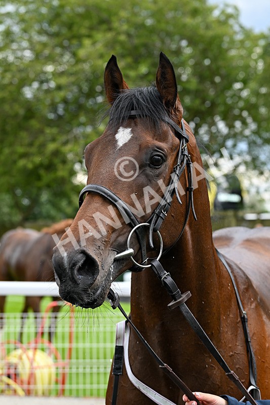 060724-Race 2-Uncle Don-3596 - Race 2