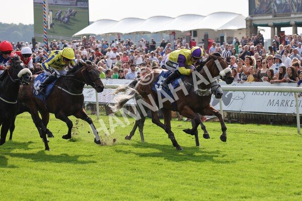 yr05092021r2-23 - Race 2 2.40pm John and Judith Marshall Memorial Stakes