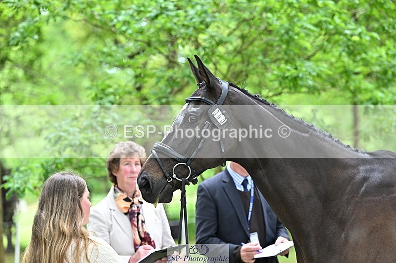 250521A-144706-00235 - A-060-Sophie.Wildern-CARTOON.HERO