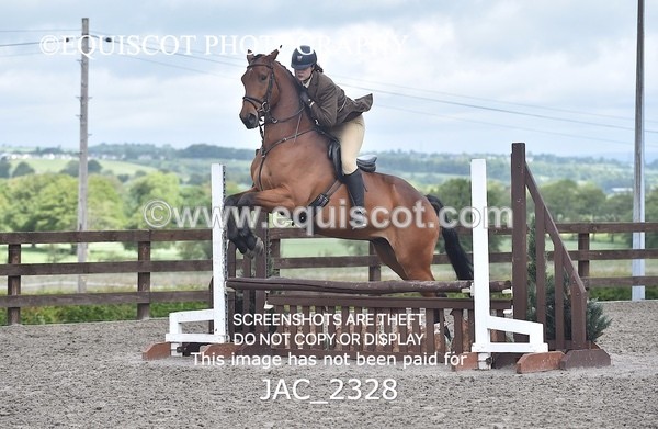 JAC_2328 - CLASS 3 Intermediate Working Hunter