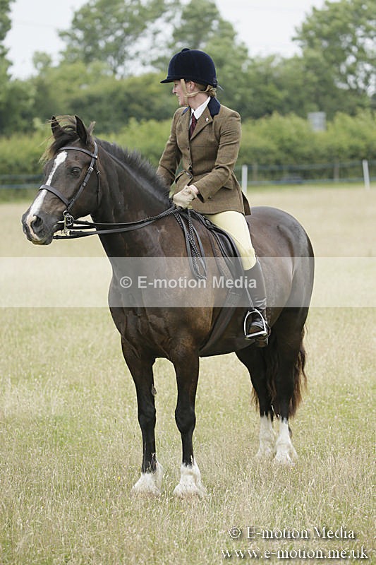 B230619-0087 - Bourne Valley Riding Club Summer Show 23/06/19