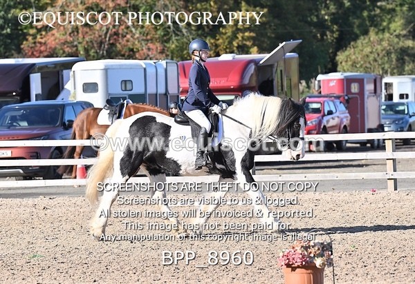 BPP_8960 - SHORT ARENA INTRO 3