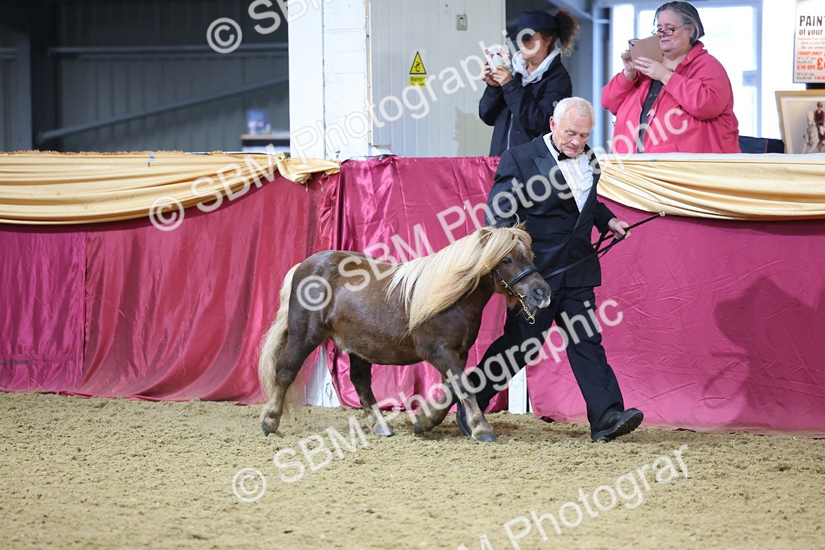 SBM_20816 - Class 902 - Supreme Final IH Veteran