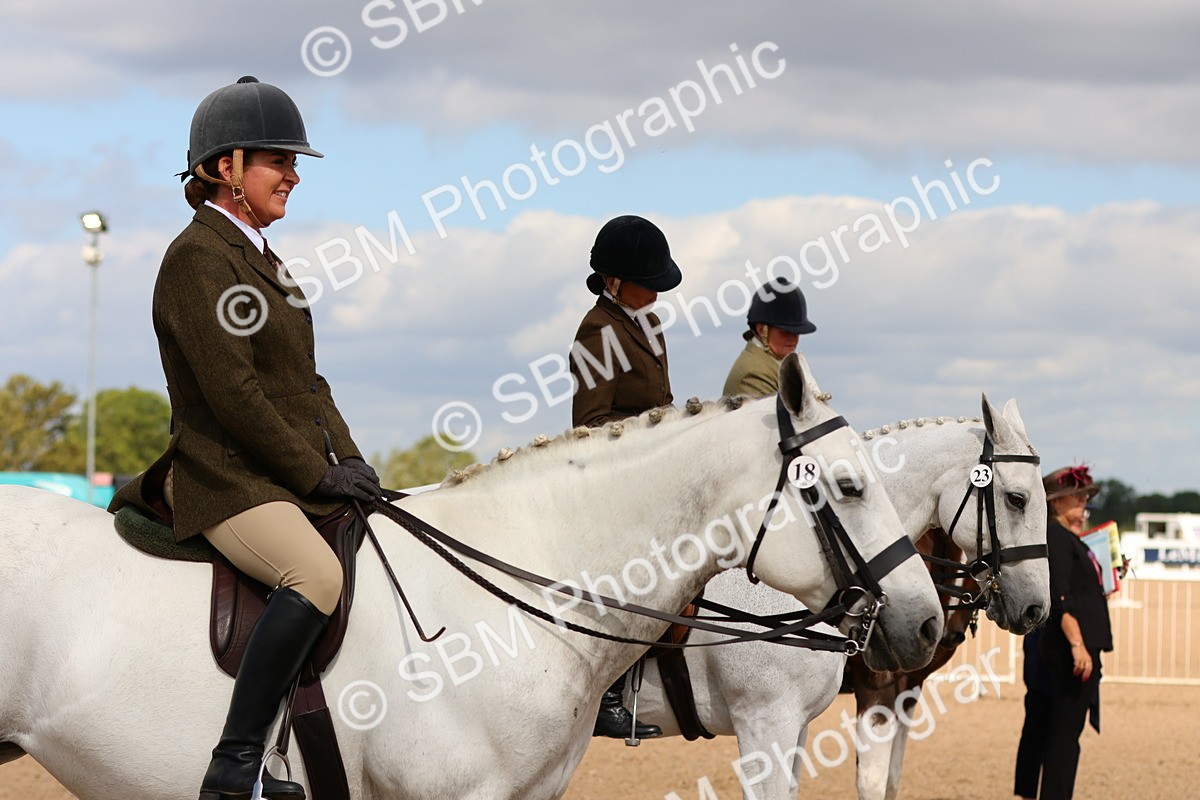 SBM_13222 - Class 211 - Ridden Hunter - Small