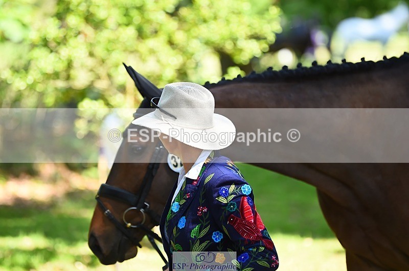 230524-152126-00226 - 324-DRUMGIVEN_MR_CHARISMA-Jeanette_Brakewell-WEDTrotUp+DR