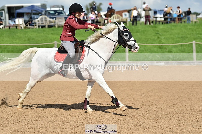 230902A-140932-01619 - Cls 3B Pony Medium 90cm