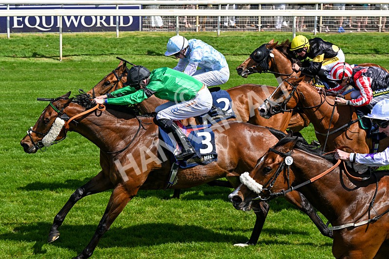 230526-Race 3-Partisan Hero-0438 - Race 3 14.40pm William Hill Epic Boost Handicap